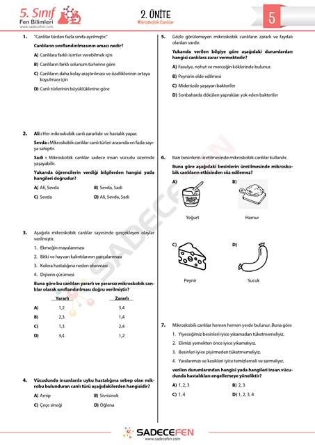 5 sınıf fen 1 ünite test pdf